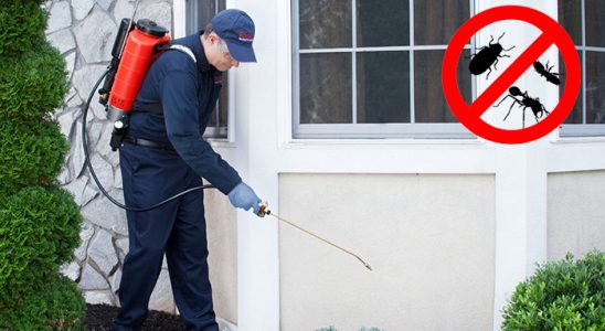 Han Hamam Böceği İlaçlama böcek ilaçlama ve haşere kontrolü — ilaclama-tr.com
